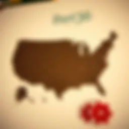 A detailed map of the USA showcasing Bet365's operational states.